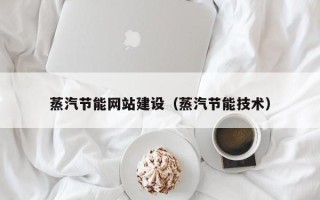 莘县蒸汽节能网站建设（蒸汽节能技术）